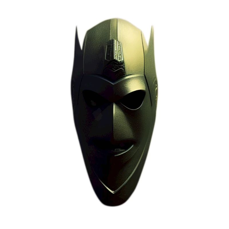 Ninja warrior clans