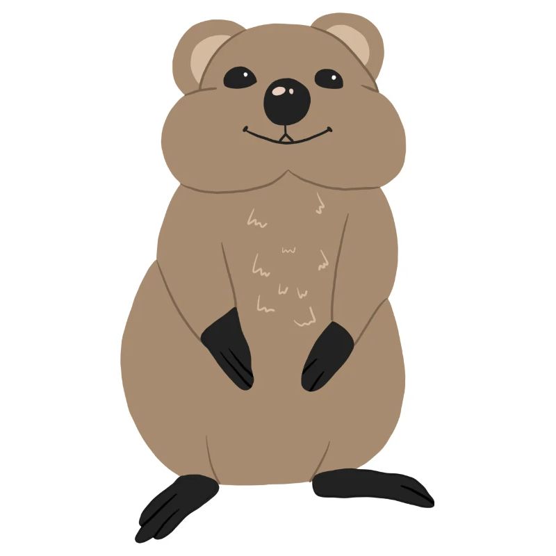 Quokka