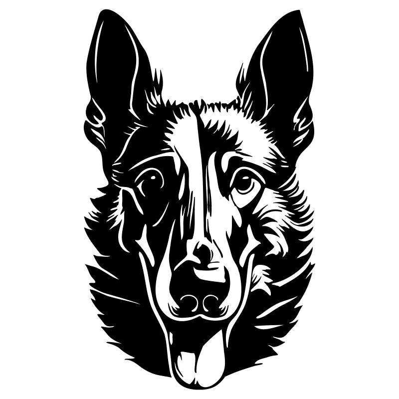 Belgischer Schäferhund