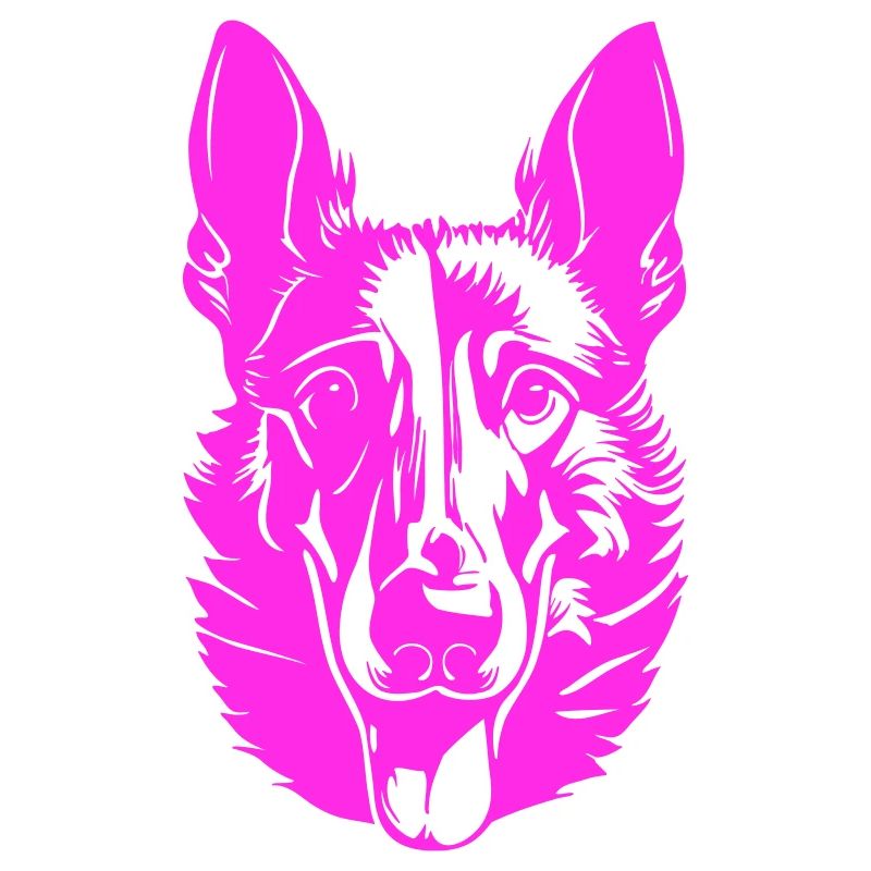 malinois