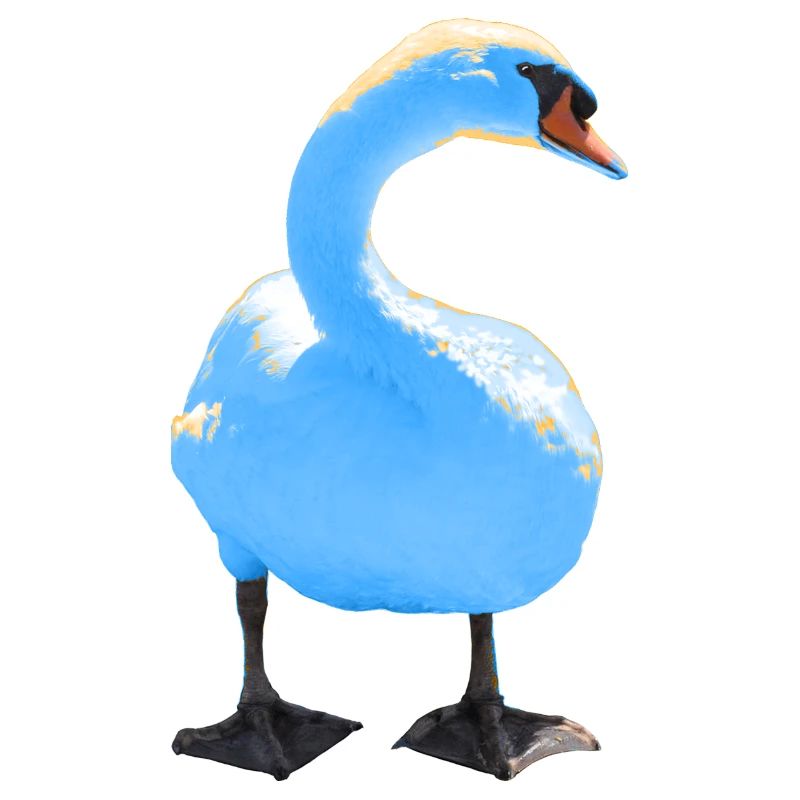cygne