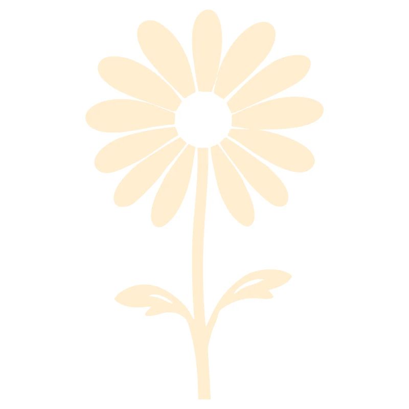 Beauté de marguerite