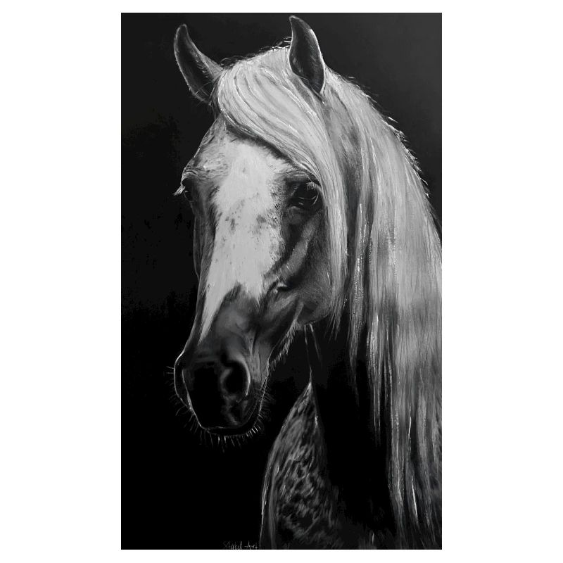 Cheval blanc