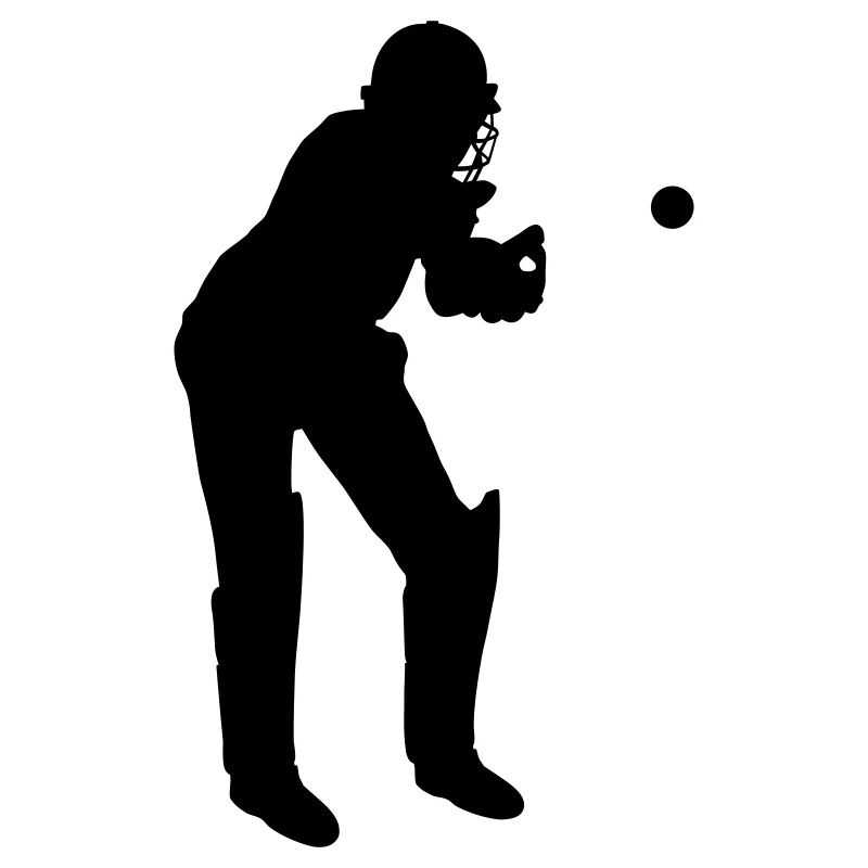 Cricket Fänger im Spiel