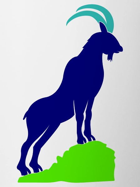 steinbock 02
