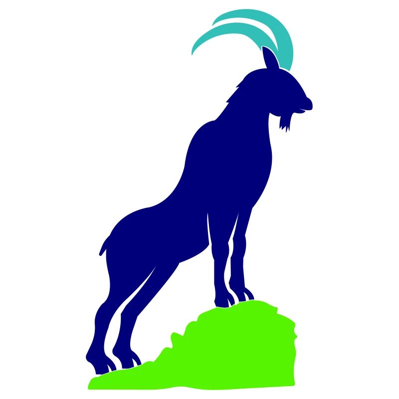 steinbock 02