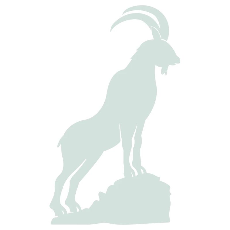 steinbock 01