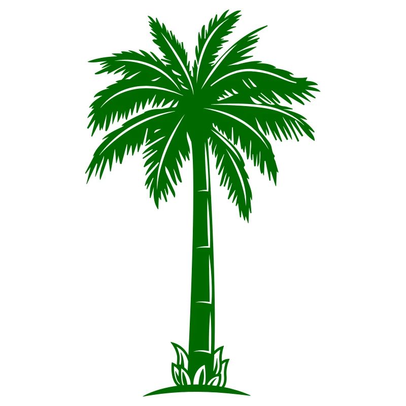 Palm Tree Silhouette