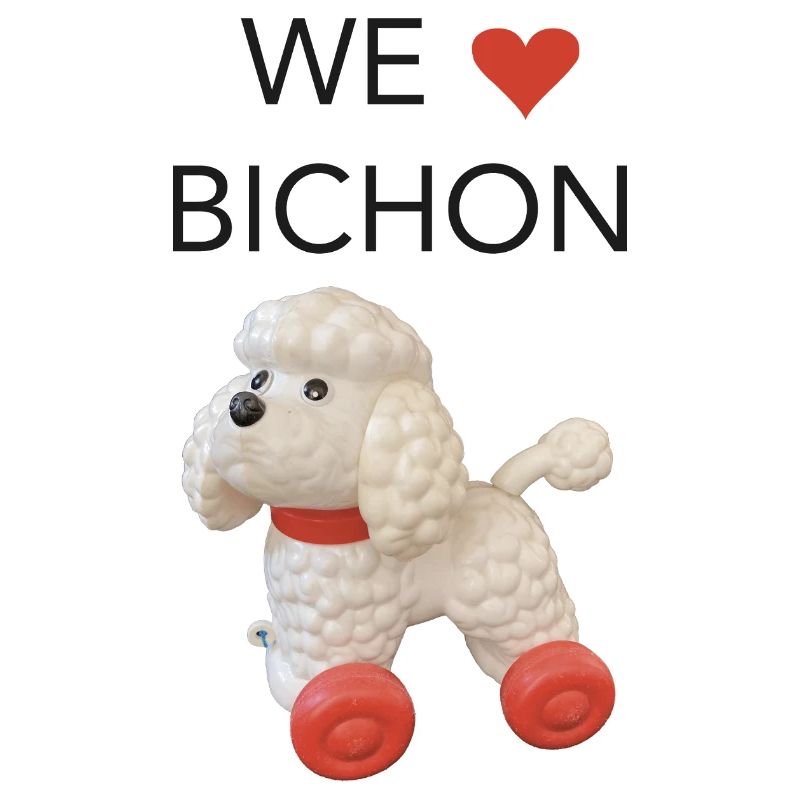 Wir lieben Bichon