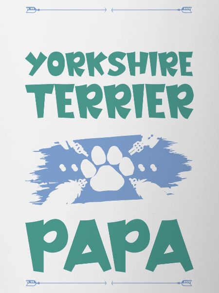 Yorkshire terrier chiens papa