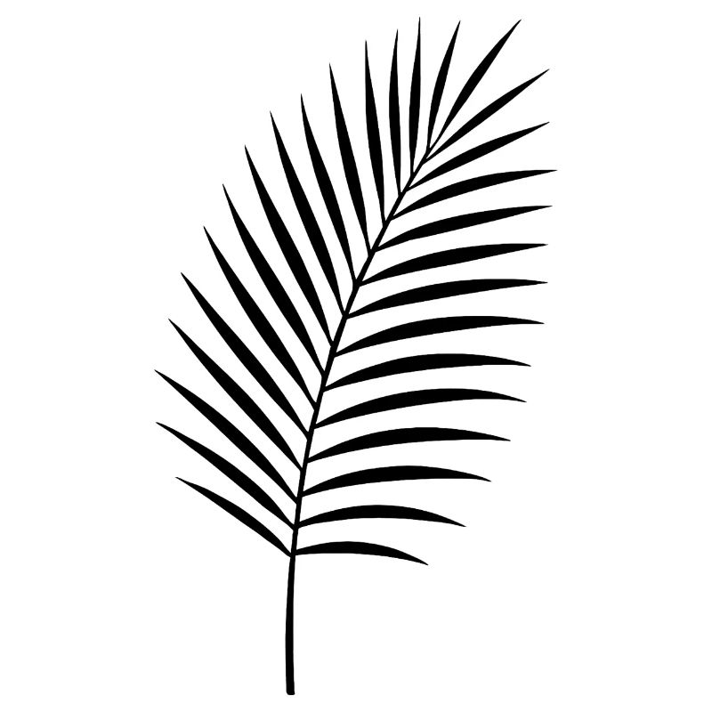 Silhouette de feuille de palmier