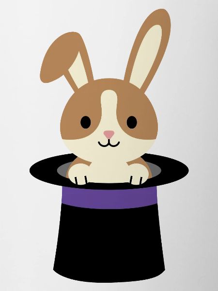 Bunny from the Magician's Hat