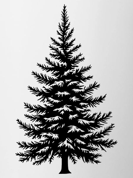 Tree Spruce Fir Conifer Vector