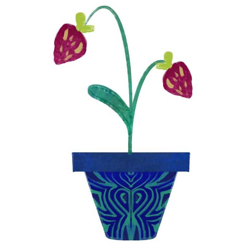 Fraise dans un pot