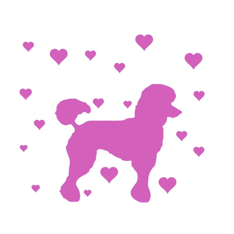 caniche