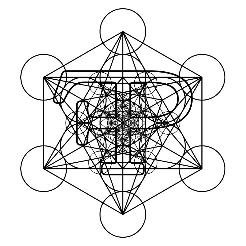 FramePace Metatron's Cube Black