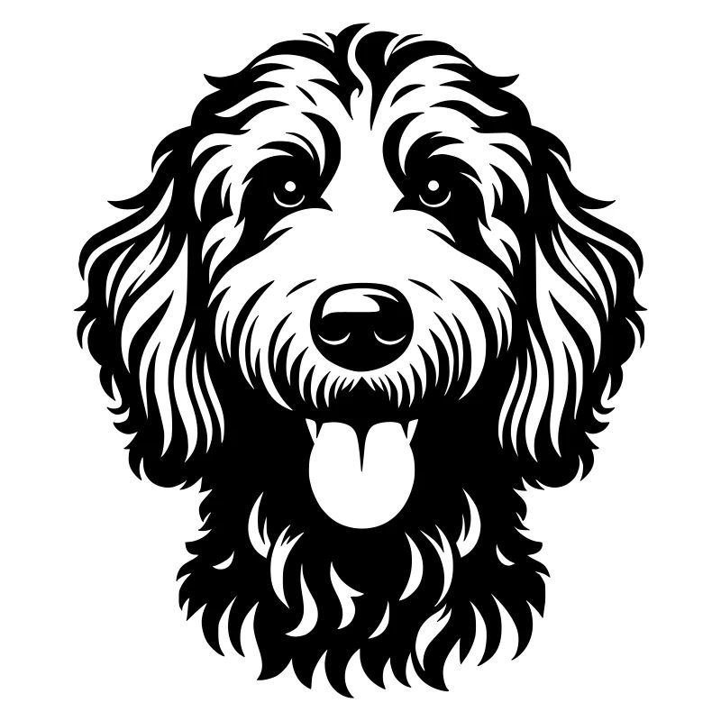 Goldendoodle Zeichnung Kopf