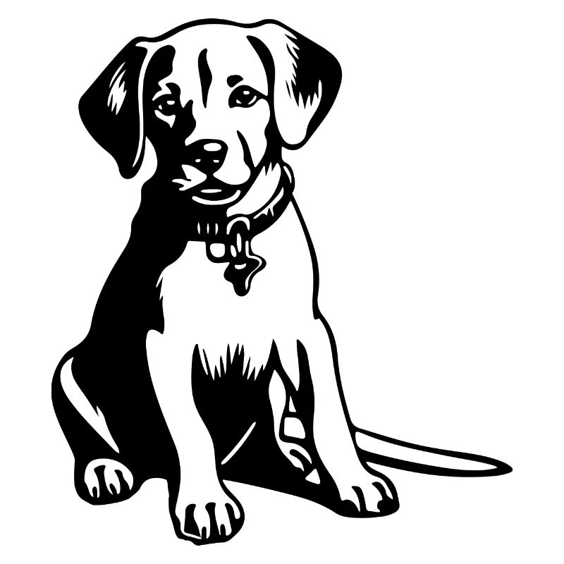Beagle Dog
