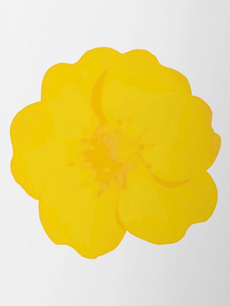 Buttercup Bold