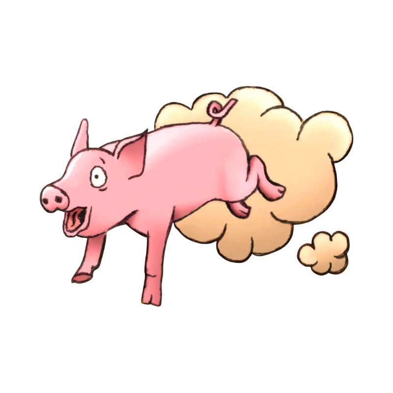 Cochon de course sifflant