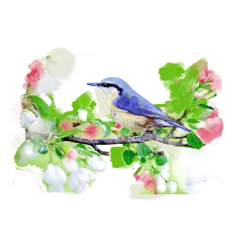 kohlmeise,vogel,blumen,aquarell
