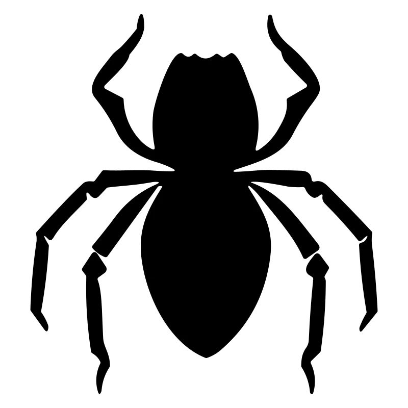 spider