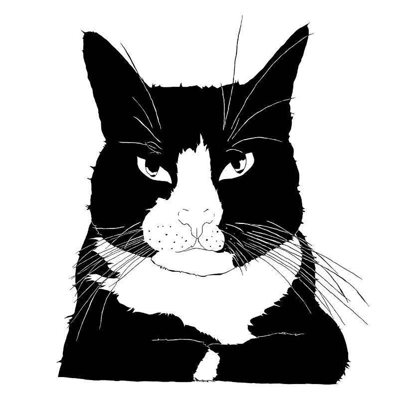 Cat bossy