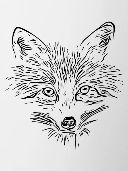 Fuchs Gesicht - Fox Face