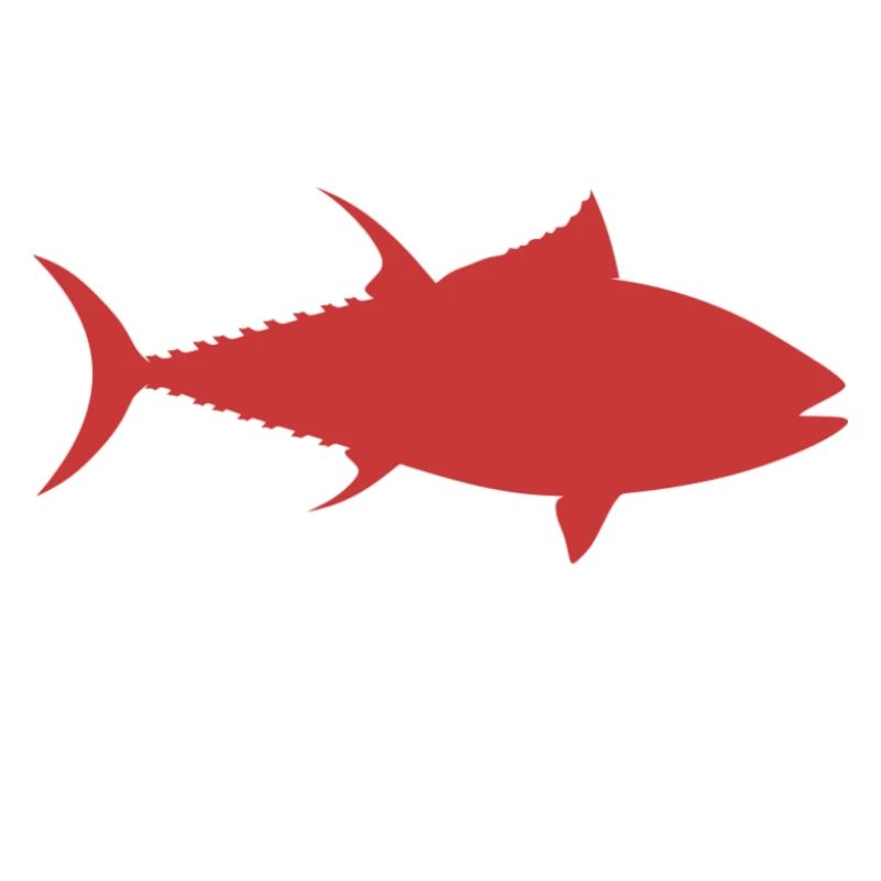 Thunfisch