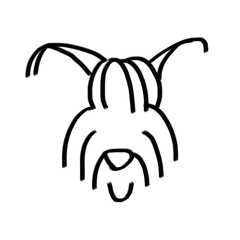 Chien Briard