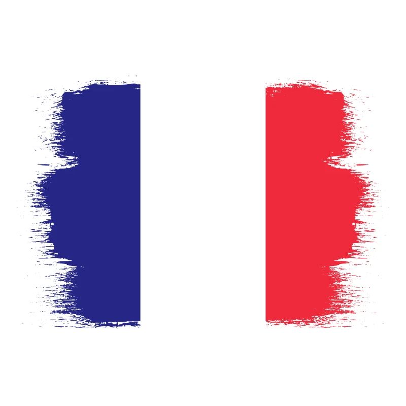 France Drapeau utilisé Look Drapeau français