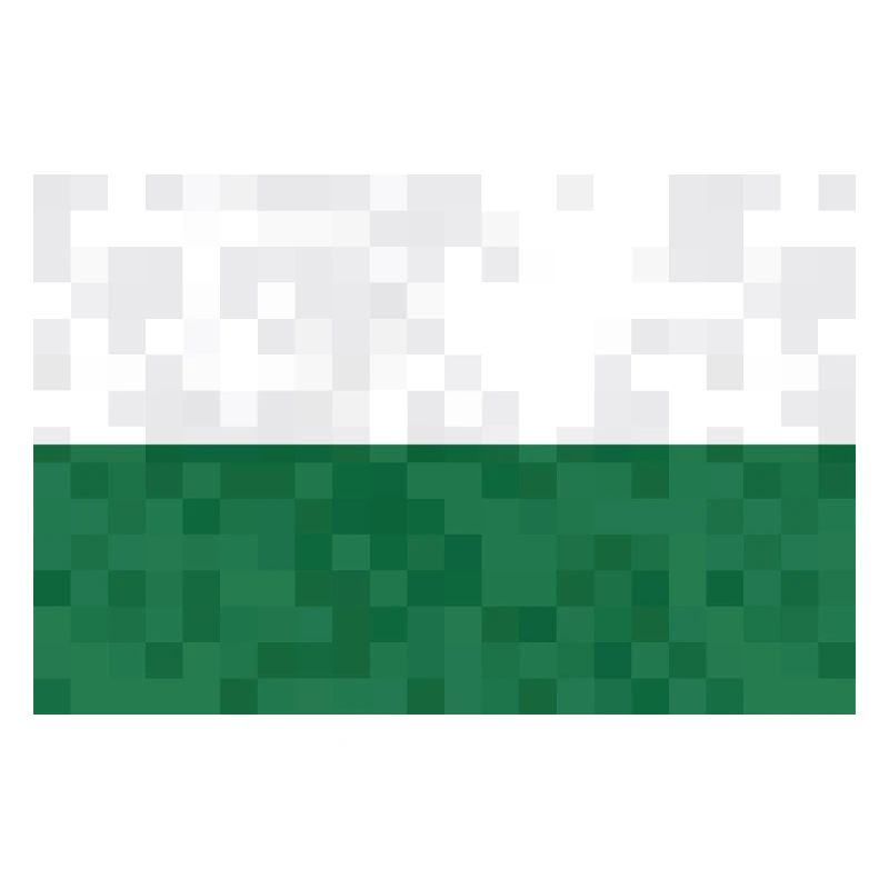 Drapeau de Saxe Drapeau saxon Ossi Holiday SN