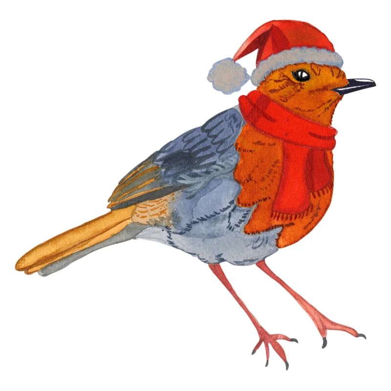 Christmas Bird Robin Design
