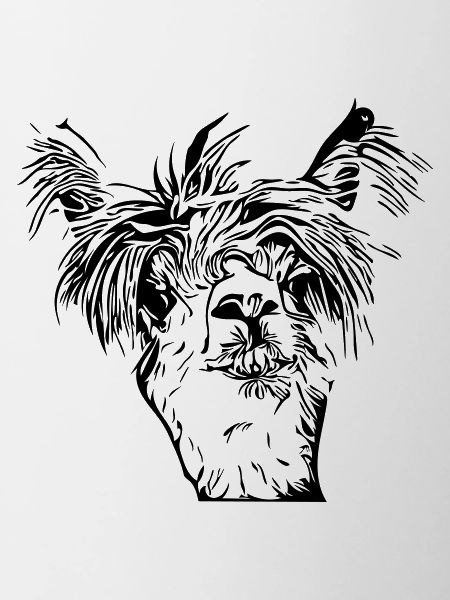 Funny llama alpaca face