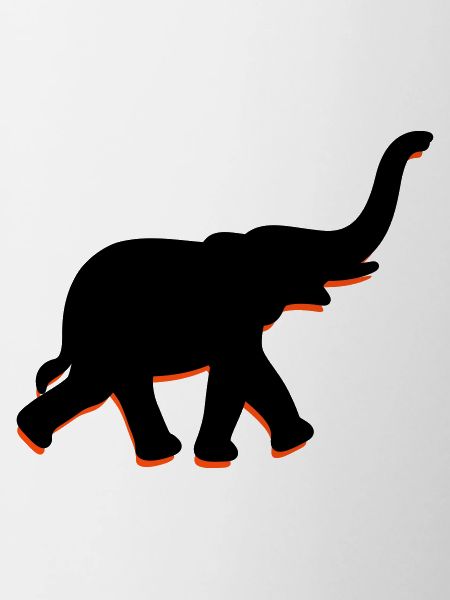 A big elephant with trunk