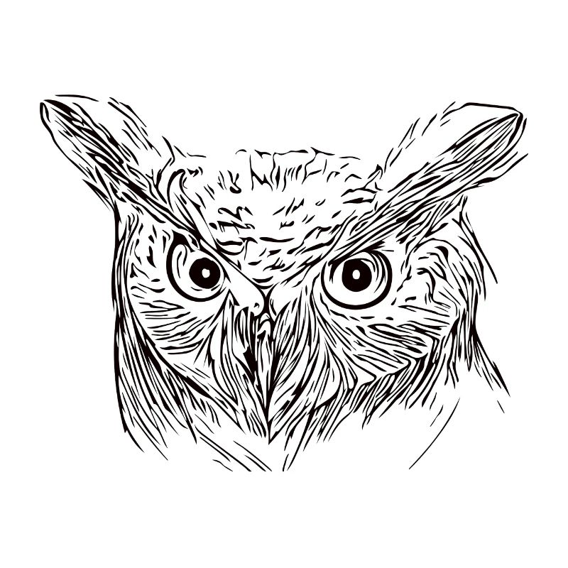 Eule - Uhu - Vogel