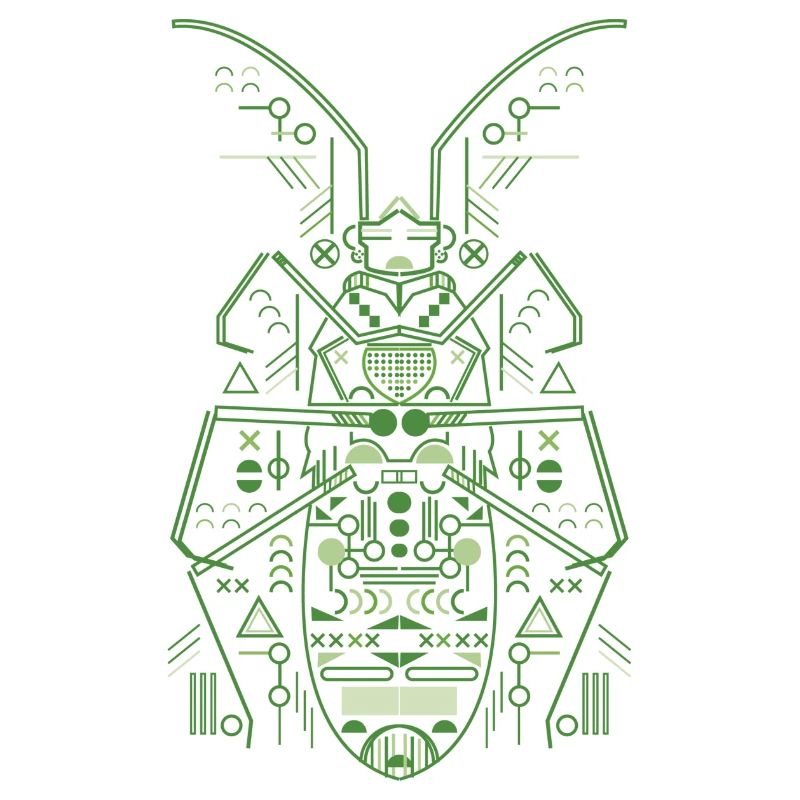 bug
