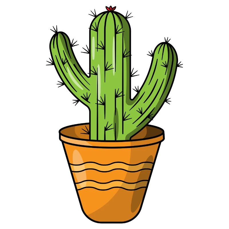 Cactus