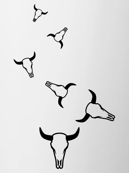 Crâne de vache taureau