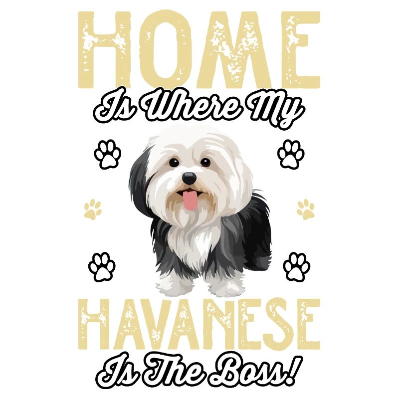 La maison, c’est là où mon bichon havanais est le chef