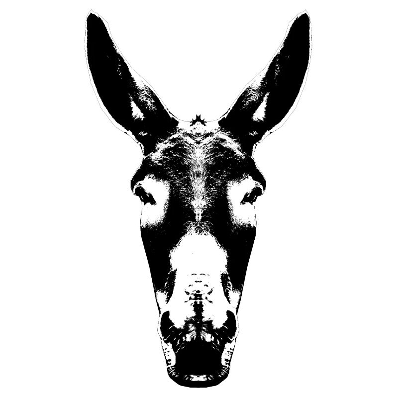 Donkey / Head / Mule / Head