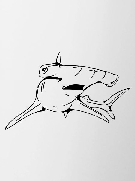 Dangerously elegant hammerhead shark