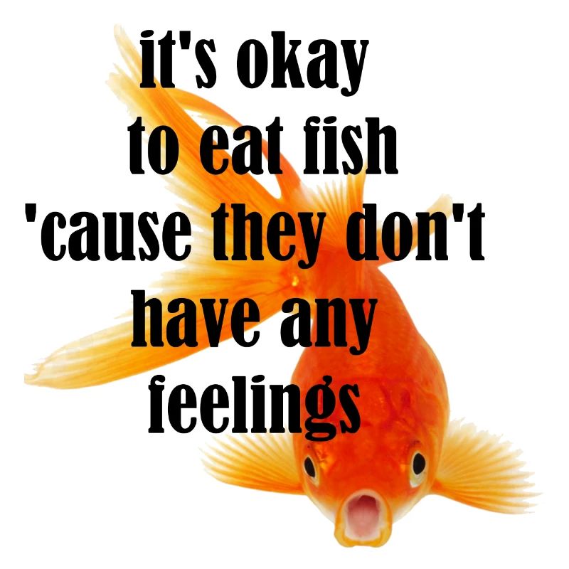 son ok pour manger du nirvana de poisson