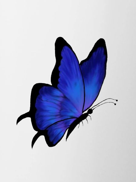 Butterfly blue