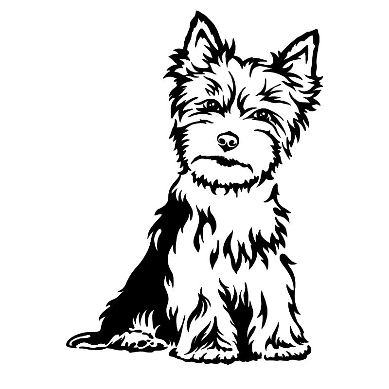 terrier