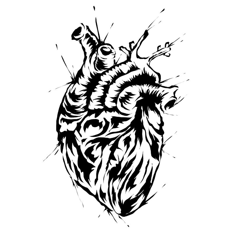 Anatomisches Herz