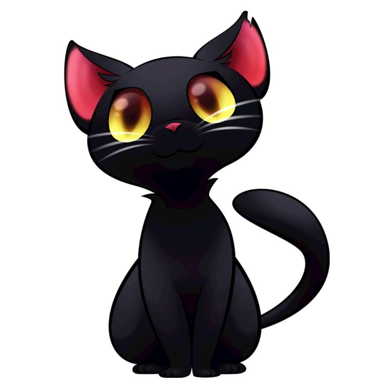 Schwarze Katze - schwarze Katze