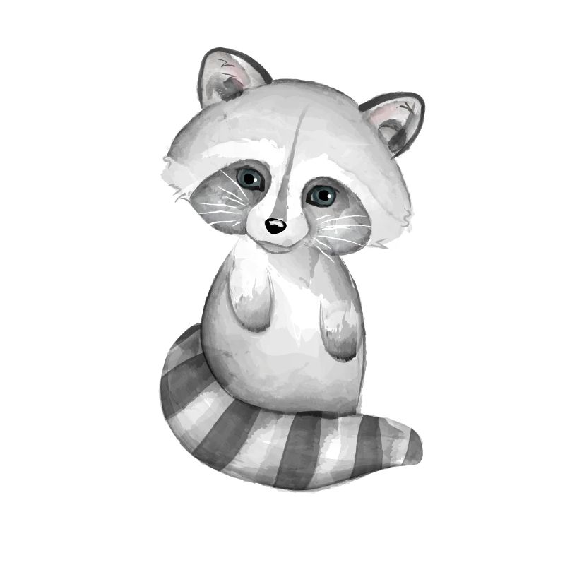 Mignon bébé raton laveur