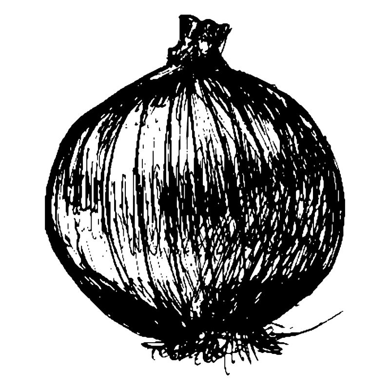 onion