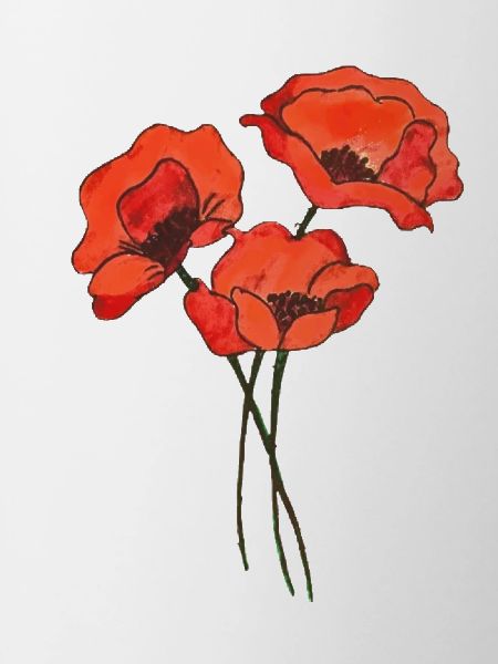 Trio de coquelicots